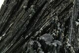 Black Tourmaline (Schorl) Crystal Cluster - Namibia #363669-1